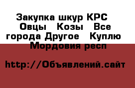 Закупка шкур КРС , Овцы , Козы - Все города Другое » Куплю   . Мордовия респ.